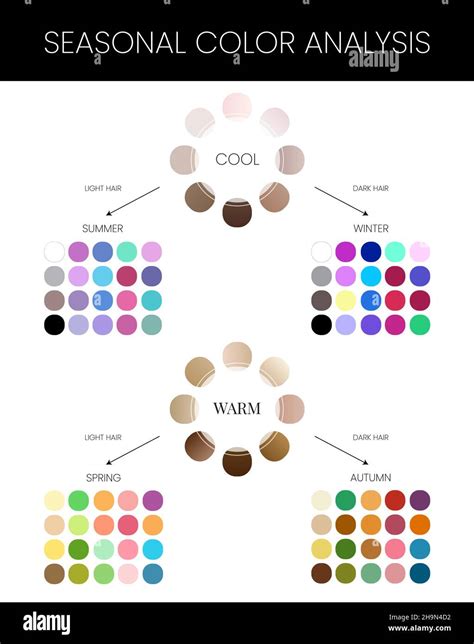 Seasonal Skin Color Analysis Chart with Summer, Winter, Autumn and ...