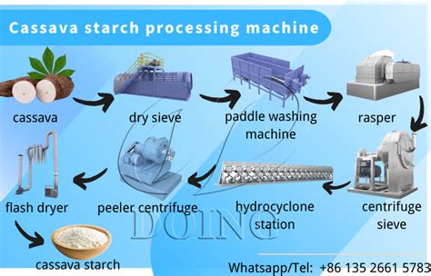 How to start a small scale cassava starch processing business? what ...