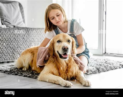 Girl with golden retriever dog Stock Photo - Alamy