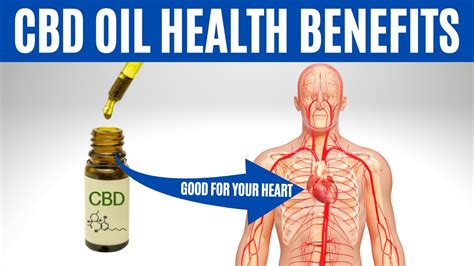 CBD OIL BENEFITS – 12 Amazing Health Benefits of CBD Oil! – CANNABIZ ...