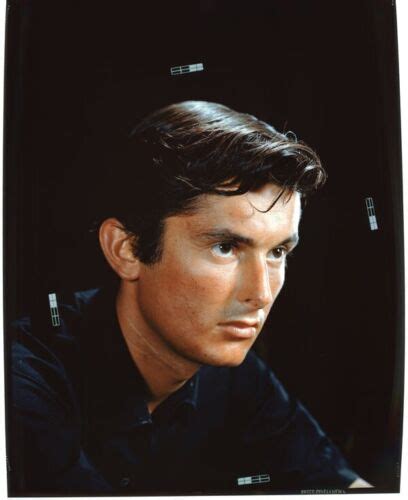 Robert Evans Paramount Studio Head Producer Vintage Original 8x10 ...