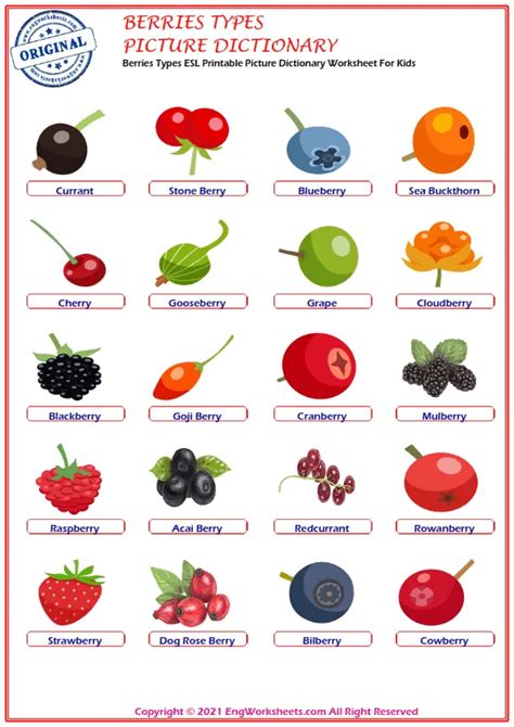 Berries Types English Vocabulary Video Exercises For Kids - Engworksheets