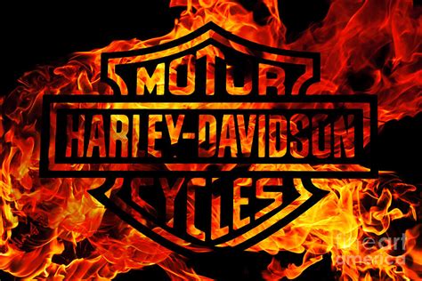 Harley Davidson Logo Flames Digital Art by Randy Steele