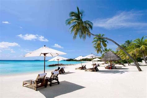 Discover the 10 most spectacular Nha Trang beaches that blow your mind ...