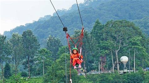 7 Aktivitas Seru di Agrowisata Gunung Mas, Destinasi Populer di Bogor ...