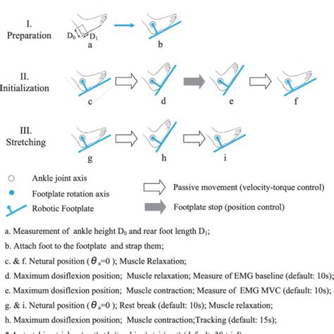 | The protocol of a PnF training session. It mainly involves three ...