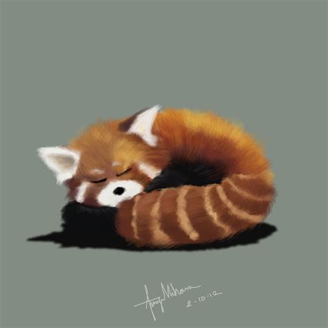 AplusArt: Red Panda -Sleeping