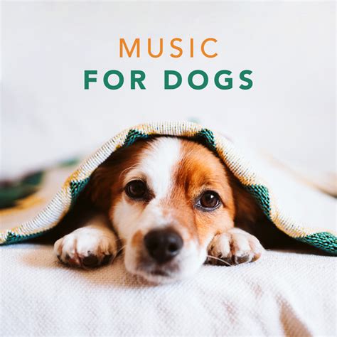 Music for Dogs - Relaxing Songs for Dogs and Puppies, Pt. 01 - song and ...