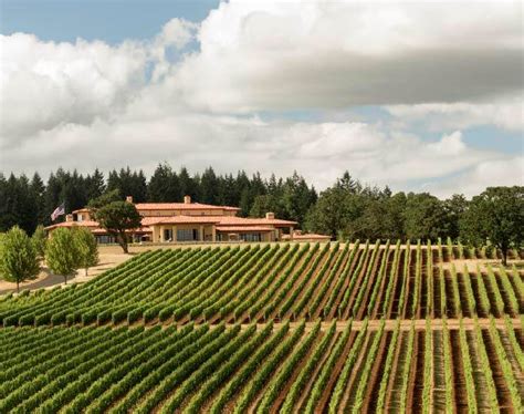 Sip and Savor: 11 Best Wineries to Visit in Oregon