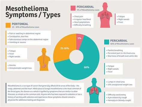 What is mesothelioma, causes, symptoms and treatment | The News God