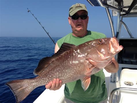 Red Grouper Fishing in the Florida Keys