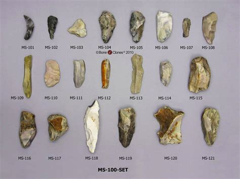 Homo Habilis Tools