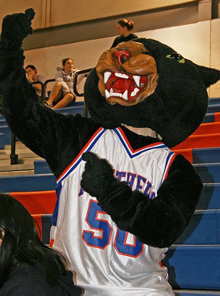 SUNY Mascot Madness