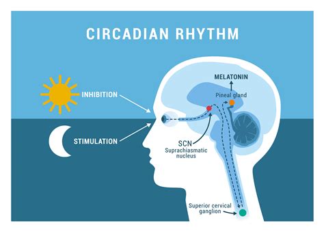 10 Steps for a good night's sleep - The Wellness Junction