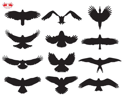 Svg Cut File.12 Birds in Flight Set Silhouettes on White Background.png ...