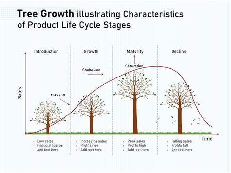 Tree Growth Illustrating Characteristics Of Product Life Cycle Stages ...