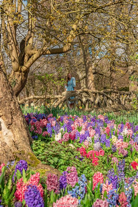 Spring in Belgium; 23 most beautiful places to find blossoms and flowers