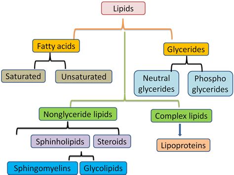 MCQ on Biochemistry - Lipids ~ MCQ Biology - Learning Biology through MCQs