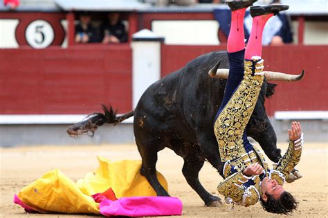 Matadors Brutally Gored by Bull at Madrid Bullfighting Festival