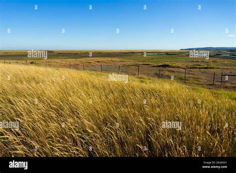 Rye Harbour Nature Reserve wetlands and saltmarsh landscape Rye Harbour ...