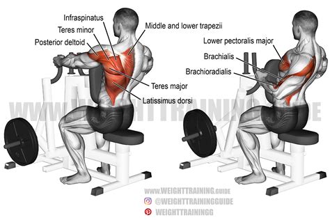 Machine one-arm row exercise guide and video | Weight Training Guide