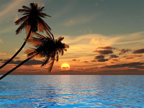 Free Beach Sunset Wallpaper - WallpaperSafari