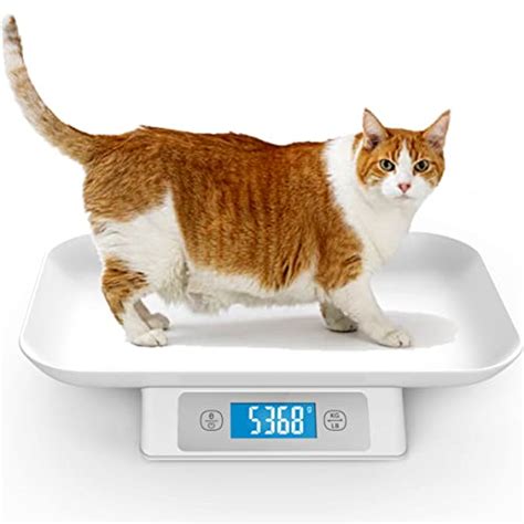 Best Pet Scale For Cats