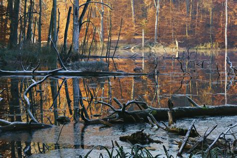 Autumn At The Lake on Behance