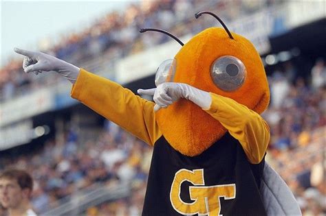 Risultati immagini per buzz ga tech mascot | Georgia tech, Georgia ...