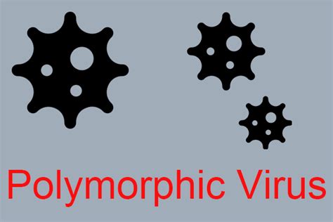 What Is a Polymorphic Virus and How to Prevent It?