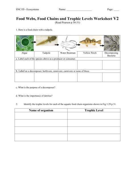 Food Webs, Food Chains and Trophic Levels Worksheet V2