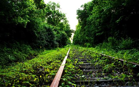 Brown train railroad, nature, railway, abandoned HD wallpaper ...