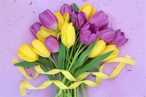 Tulips, purple, bouquet, fresh, yellow, HD wallpaper | Peakpx