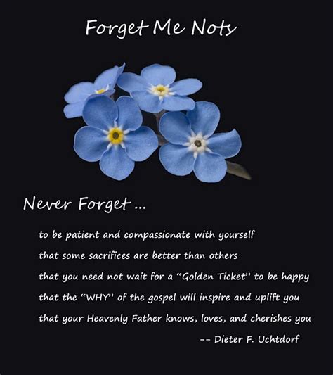 Never Forget Me Quotes. QuotesGram