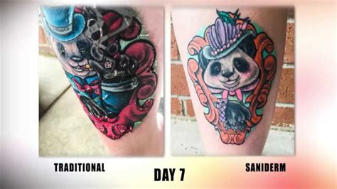 Tattoo Shop Reviews: The Saniderm Tattoo Aftercare Challenge | Your ...