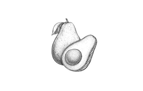 Fruits Doodle Art on Behance