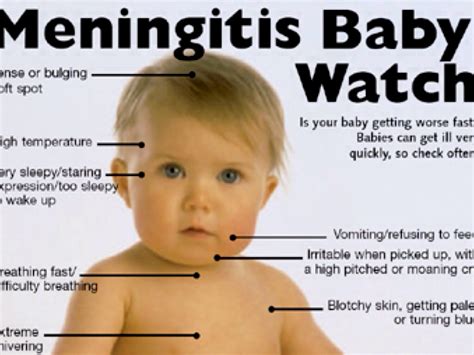 Viral Meningitis Rash Pictures