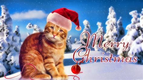 Christmas Cat Wallpapers - Wallpaper Cave