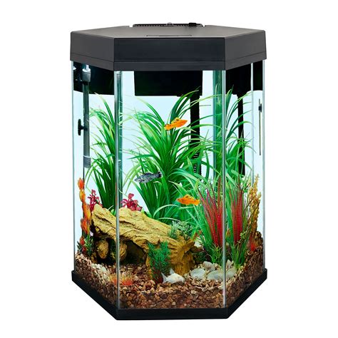 Top Fin 20 Gallon Hooded Aquarium - Aquarium Views