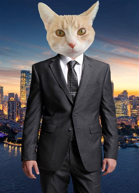 Business Cat by CatzillaStudios on DeviantArt