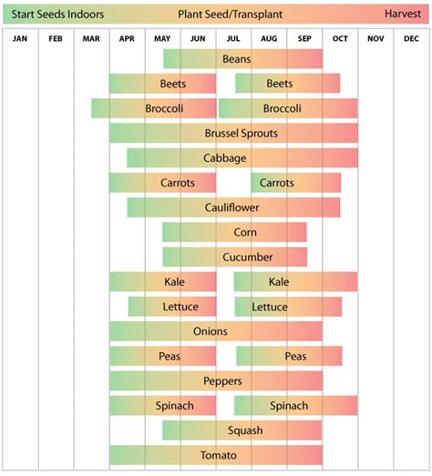 Zone 5 Planting Calendar - Urban Farmer Seeds