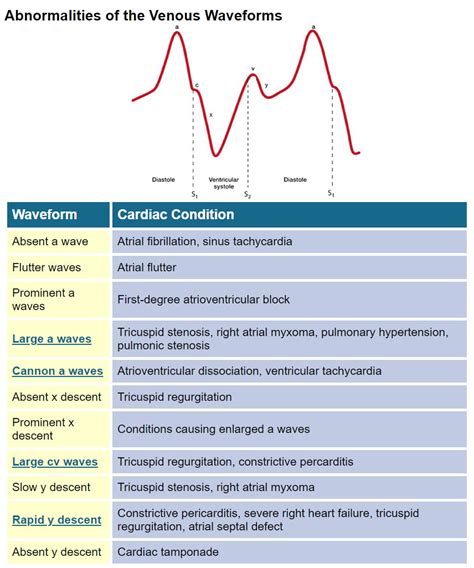 Jugular Venous Pressure Waveforms