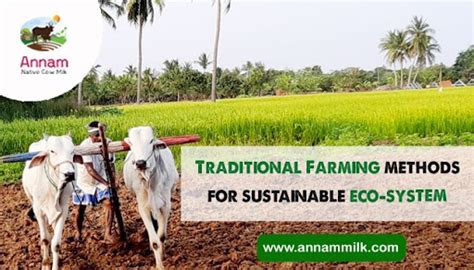 Traditional Farming methods for sustainable eco-system