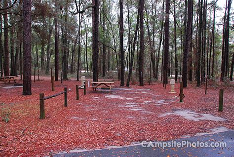 Suwannee River State Park - Campsite Photos, Availability Alerts