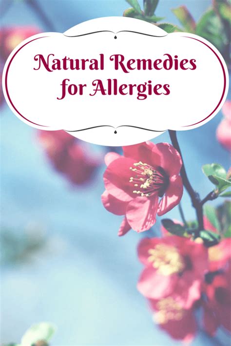 Natural Remedies for Allergies: Our Picks