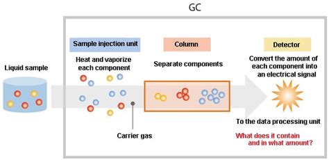 What is Gas Chromatography? : Shimadzu Scientific Instruments