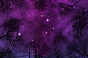 purple starry night sky background with heavy nebula, low angle view ...