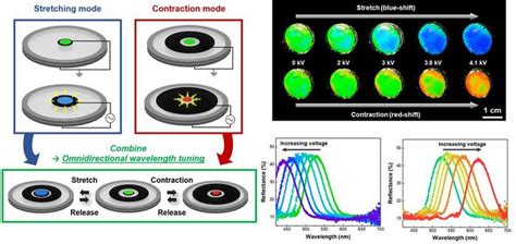 Flexible, stretchable photonic device enables structural color tuning ...