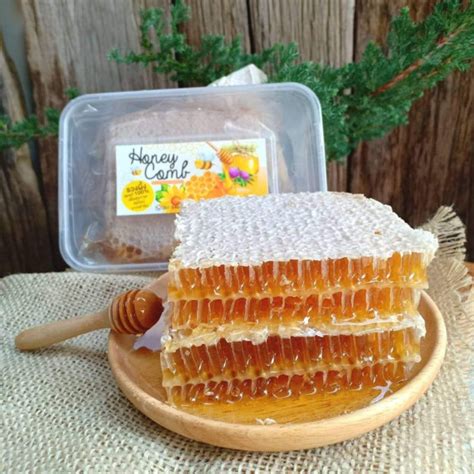 Fast Delivery [Honeycomb Large Jumbo Size] 400 Grams Fresh Honeycomb ...