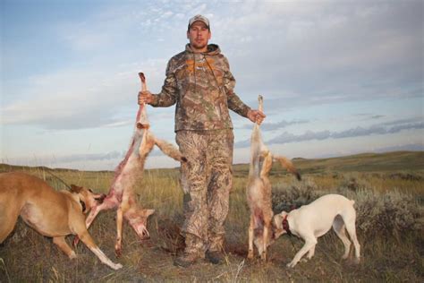 Coyote Decoy Dog: What You Need To Know To Find The Perfect Hunting ...